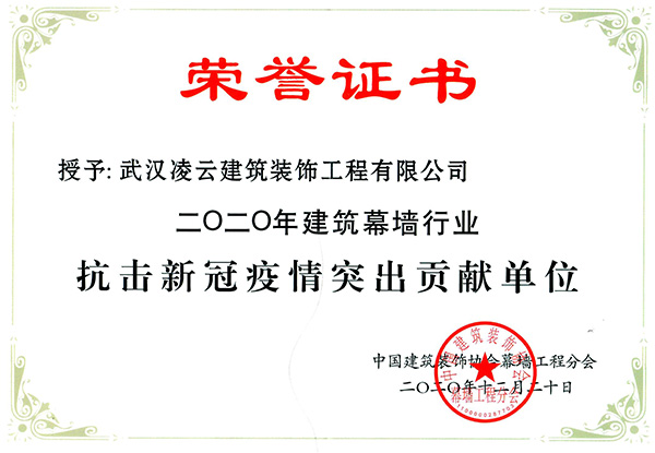 抗擊新冠疫情突出貢獻(xiàn)獎(jiǎng)2020.12